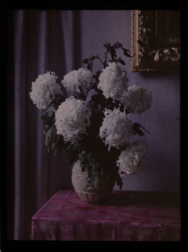 Vase with peonies