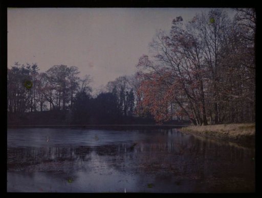 Frozen pond
