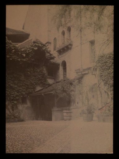 Facade with ivy
