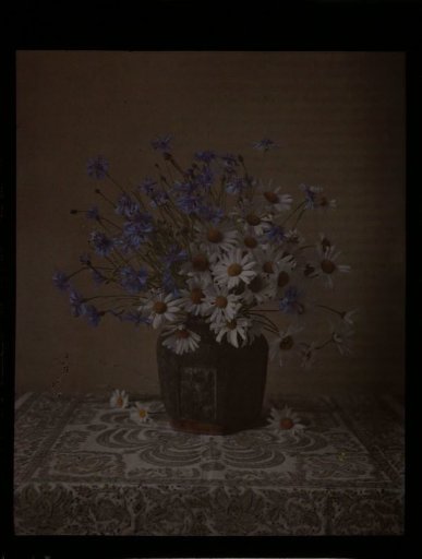 Vase with daisies and cornflowers