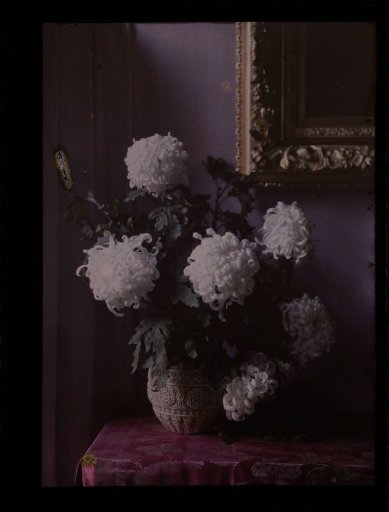 Vase with peonies