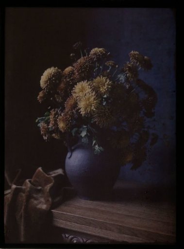 Vase with flowers
