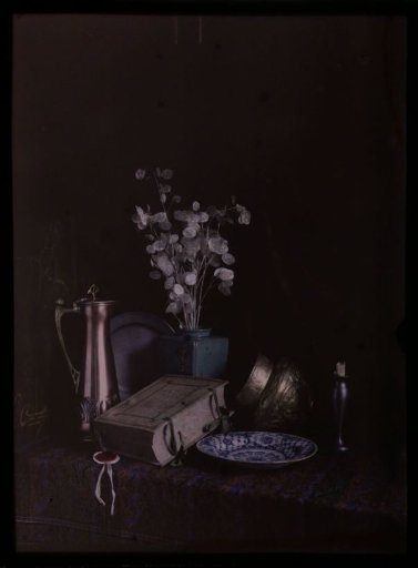 Still life with book, jug, plate and bouquet of moneywort