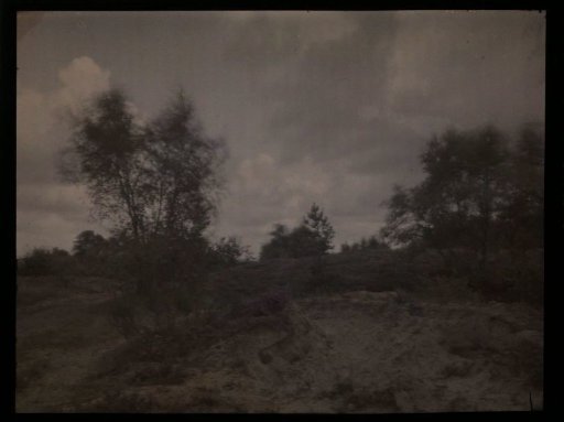 Landscape