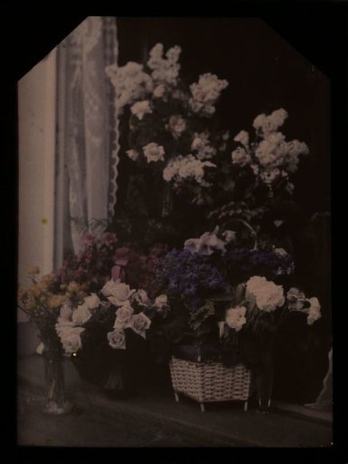 Flowers on the Windowsill
