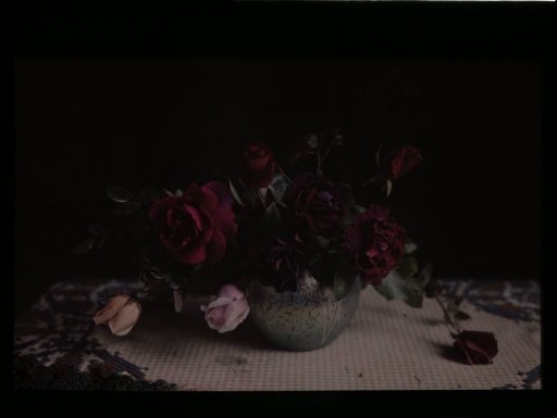Vase with roses