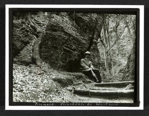 Man Sitting by an Old Tree in a Forest near Wartburg Castle in Eisenach