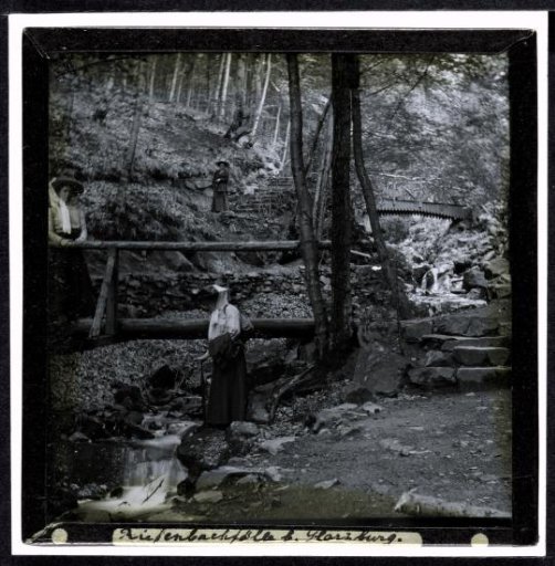 Three women on a forest path