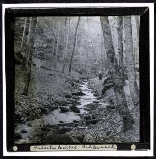Woman by a River in a Forest