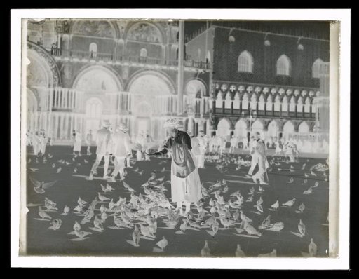 Woman Feeding Pigeons on St. Mark's Square in Venice
