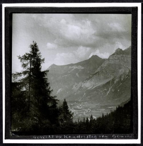 View of a Mountain Valley Behind Coniferous Trees