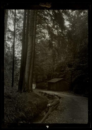 Film negative with a view of Eisenach