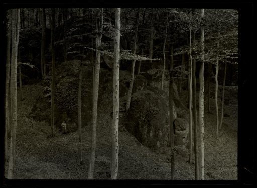 Film negative with a view of Eisenach