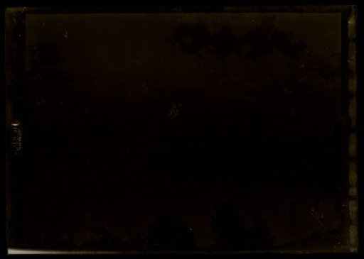 Film negative