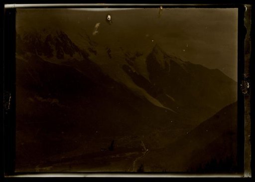 Film negative