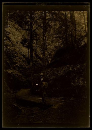 Film negative
