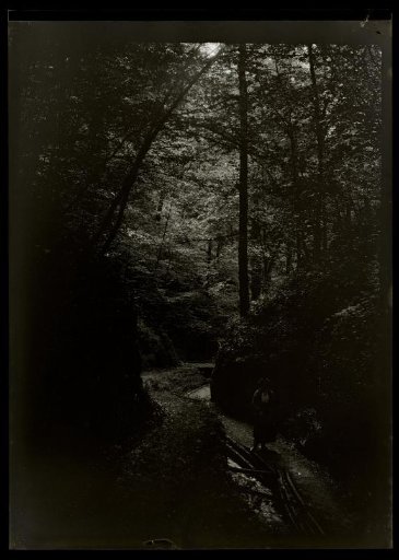 Film negative