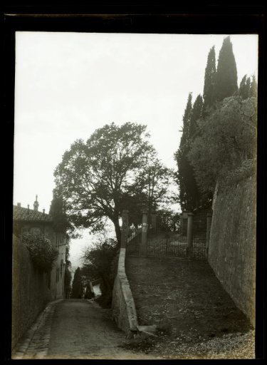 Film negative with a view of Florence