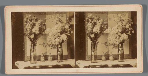 Two Vases with Flowers
