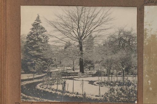 The garden of Aunt Marie