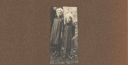 The Daughters of Alphons Diepenbrock: Joanna and Thea