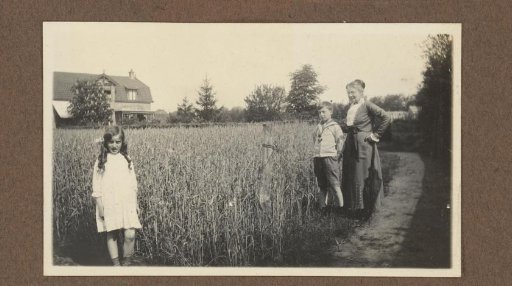 Two Children and a Woman by a Cornfield