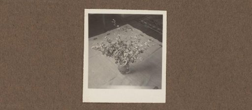 Vase with Flowers