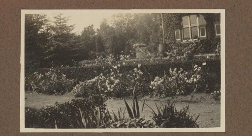 Garden in Bloom