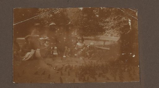 Group of Children Feeding Birds in the Vondelpark