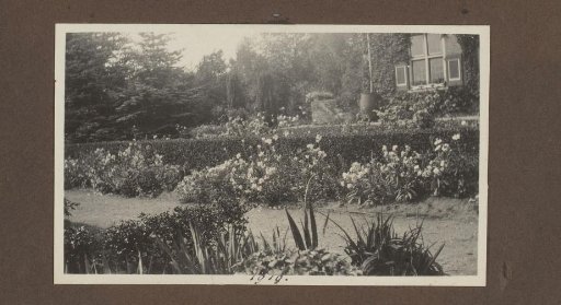 Shrubs with flowers in the garden of country house De Bijlakker, Laren