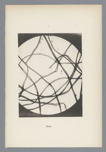 Micrographs of paper fibres