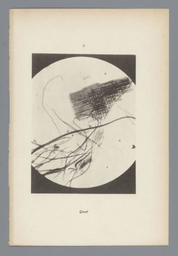 Micrographs of paper fibres