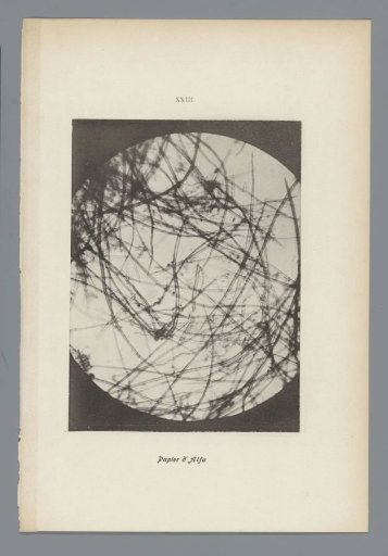 XXIII Alfa Paper