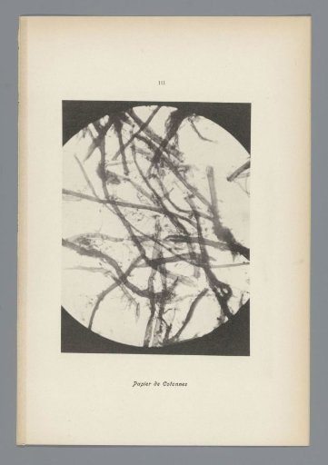 Micrographs of paper fibres