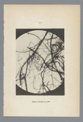 XLVI Paper Manufactured in 1556