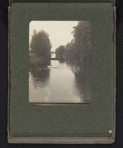 Ducks in a brook at Laren