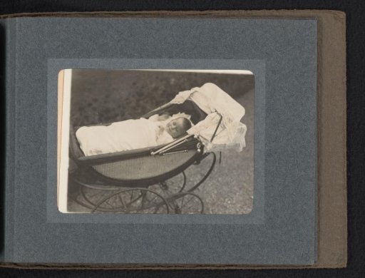 Frank van den Berg in a Walking Carriage