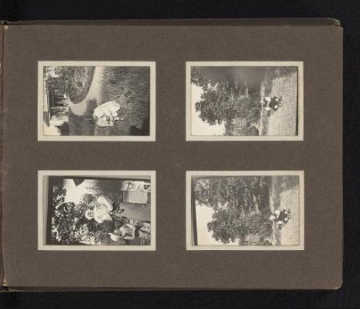 Four photographs of Caroline Louise van den Berg and Frank Willem in a garden in Bergerac