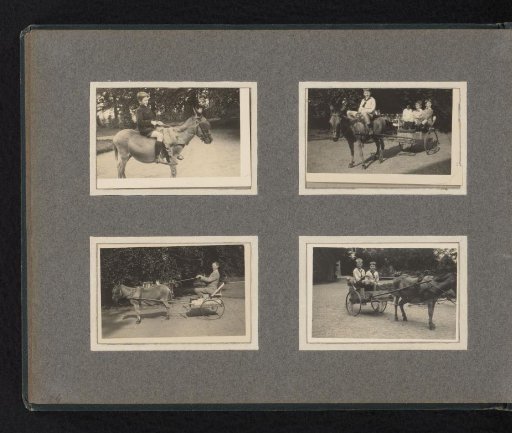 Van den Berg family during a ride with a donkey