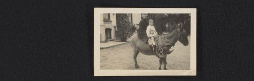 Two children of the Van den Berg family on a donkey