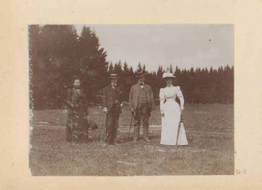Family portrait on a meadow