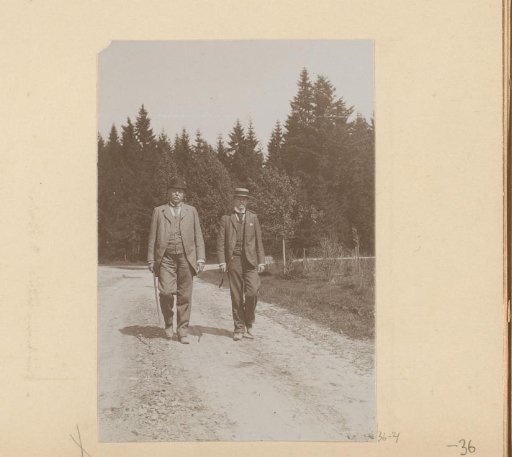 Two men walking on a forest path