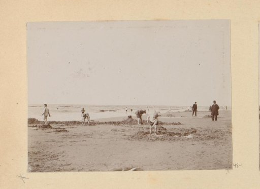Children digging trenches on a beach