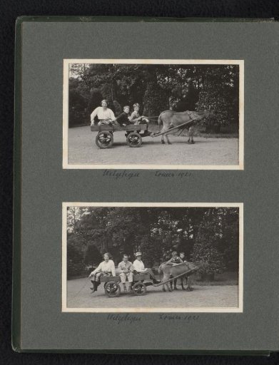 Three photos of members of the Van den Berg family on a cart pulled by a donkey