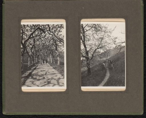 Two photographs of the Van den Berg family walking during a holiday in the Alps