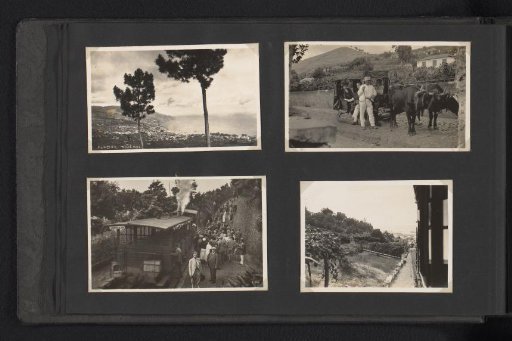 Four photographs, including two postcards, of the Van den Berg family in Madeira