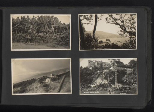 Four Photographs, Two of Which Are Postcards, of the Van den Berg Family in Madeira