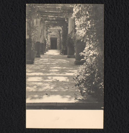 Pergola in the garden of Villa Tritone, Sorrento