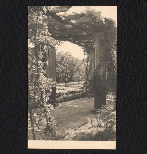 Pergola in the garden of Villa Tritone, Sorrento