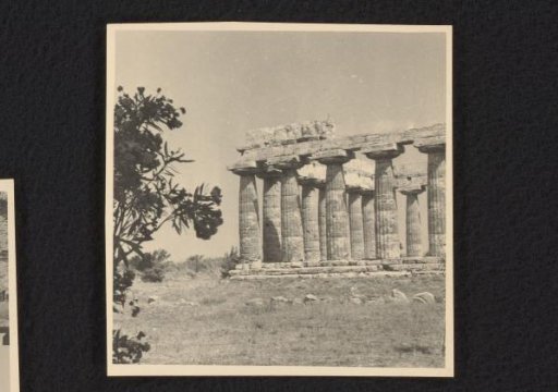 Temple at Paestum